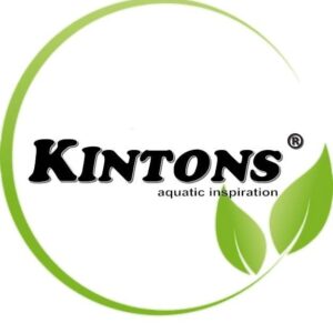 Kintons